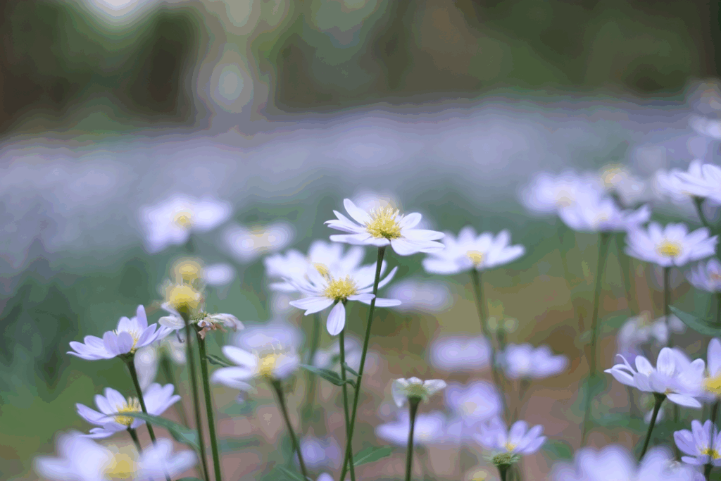 se_20150601_b_s21
