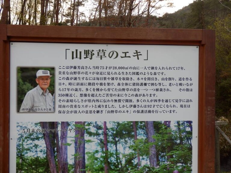 ＮＨＫテレビで紹介されます。